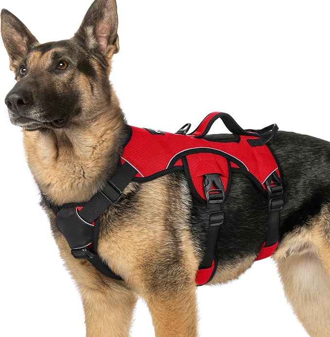 rabbitgoo Escape Proof Dog Harness for X-Large, No Pull with Lift Handle | No Escape, Full Soft Padded, Reflective Adjustable Vest, Leash Clip for Walking Hiking Training, Red, X-Large