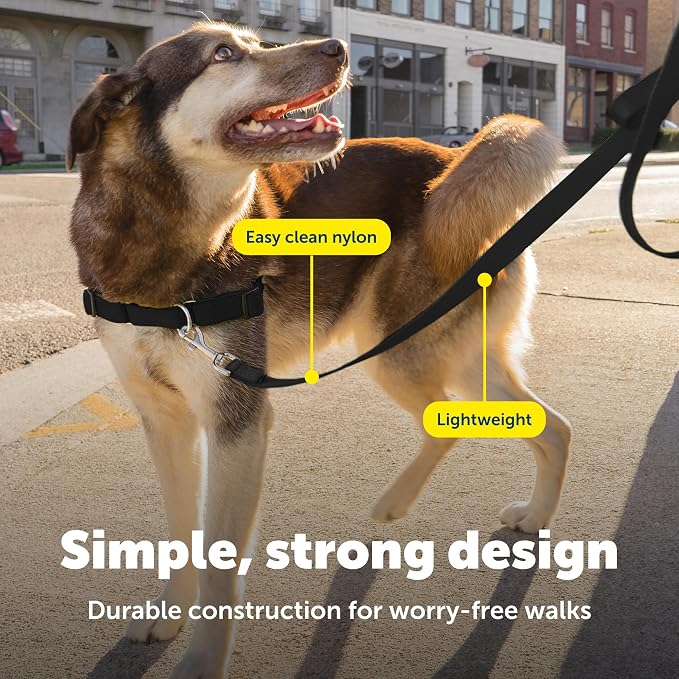 PetSafe Nylon Dog Leash - Strong, Durable, Traditional Style Leash with Easy to Use Bolt Snap - 3/4 in. x 4 ft., Black | Durable Nylon Leash with Easy on/off Bolt Snap Hook, Pairs Perfectly with Easy Walk Harness and Gentle Leader Headcollar