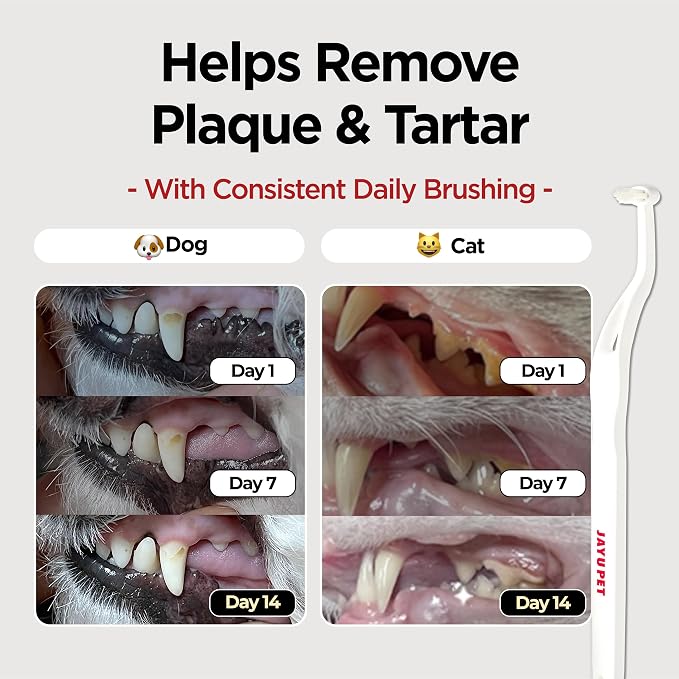JAYU PET Dental Care Brush, Soft Bristles, 3ea | Dog Toothbrush, Cat Toothbrush, For Kitten and Small Dogs, Removes Old Plaque and Tartar, Easy Cleaning