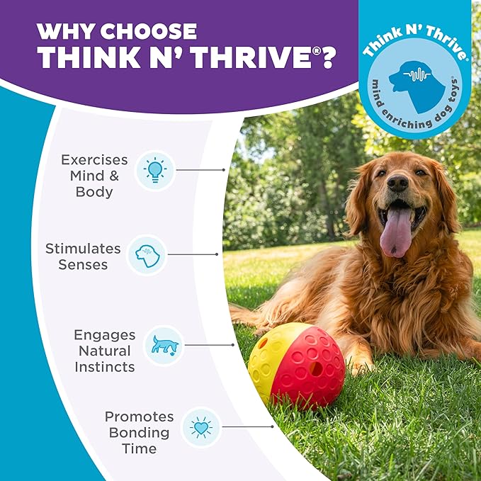 Outward Hound by Nina Ottosson Treat Tumble – Interactive Food-Dispensing Dog Puzzle Ball, Level 1 Beginner, Large, 5.8"