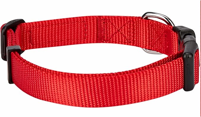 Blueberry Pet Essentials Matching Dog Collar and Double Handle Leash Set in Rouge Red, Adjustable Classic Solid Color Nylon Collar with 4 ft Leash for Large Dogs