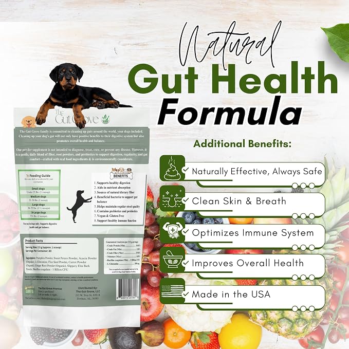 Dog Probiotic Powder – Gut Health Probiotics for Dogs with Digestive Enzymes, Prebiotics & Pumpkin – Supports Firm Stool, Diarrhea Relief, Immune Boost – Natural Dog Gut Health Powder