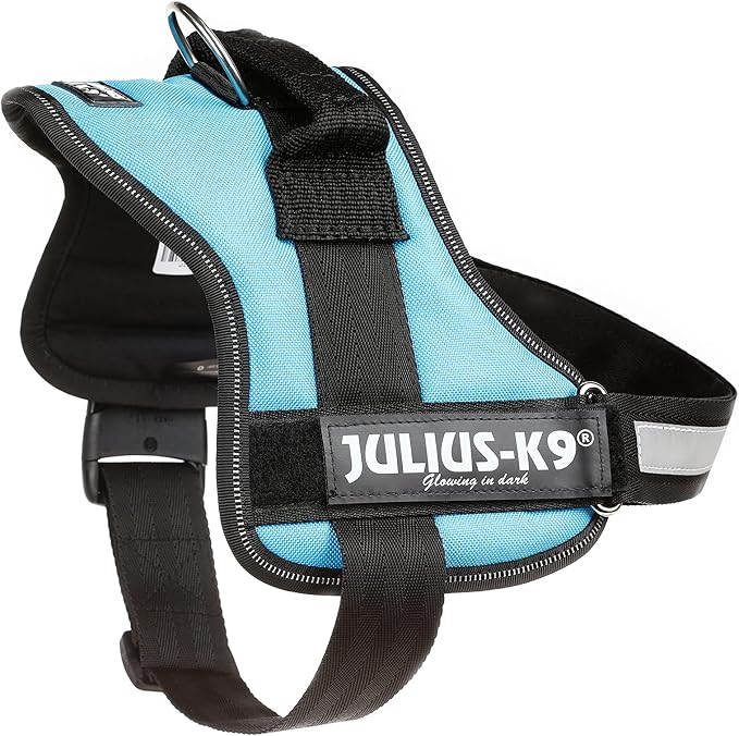 Julius-K9, 162 W, K9-Power Dishes, Aquamarine, 0, Green-Blue