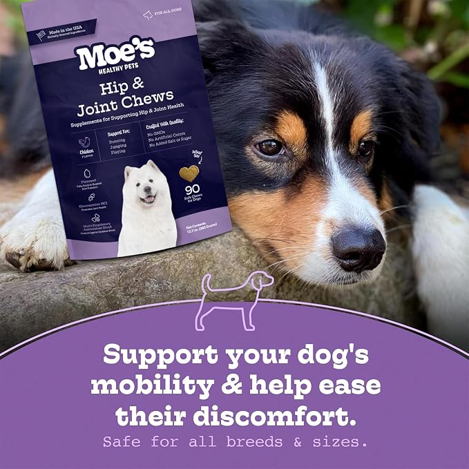 Moe’s Dog Joint Supplement 90 Soft Chews – Glucosamine, Chondroitin & Hyaluronic Acid with Vitamins C & E – Advanced Hip and Joint Support for Dogs – Ideal for Bone Health & Joint Pain Relief