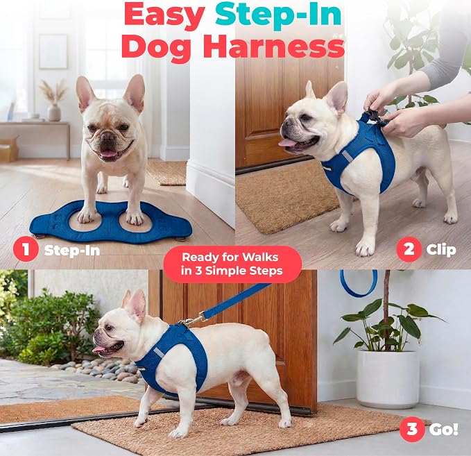 Voyager Step-in Air Dog Vest Harness - Royal Blue, Medium | 16 - 18" in Chest, Reflective Bands, All Weather Breathable Air Mesh, Cats Compatible, Lightweight, Fast Drying
