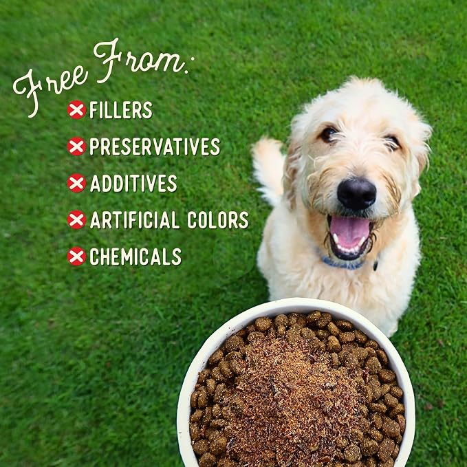 Beg & Barker Beef Dog Food Topper - Single Ingredient, 8oz
