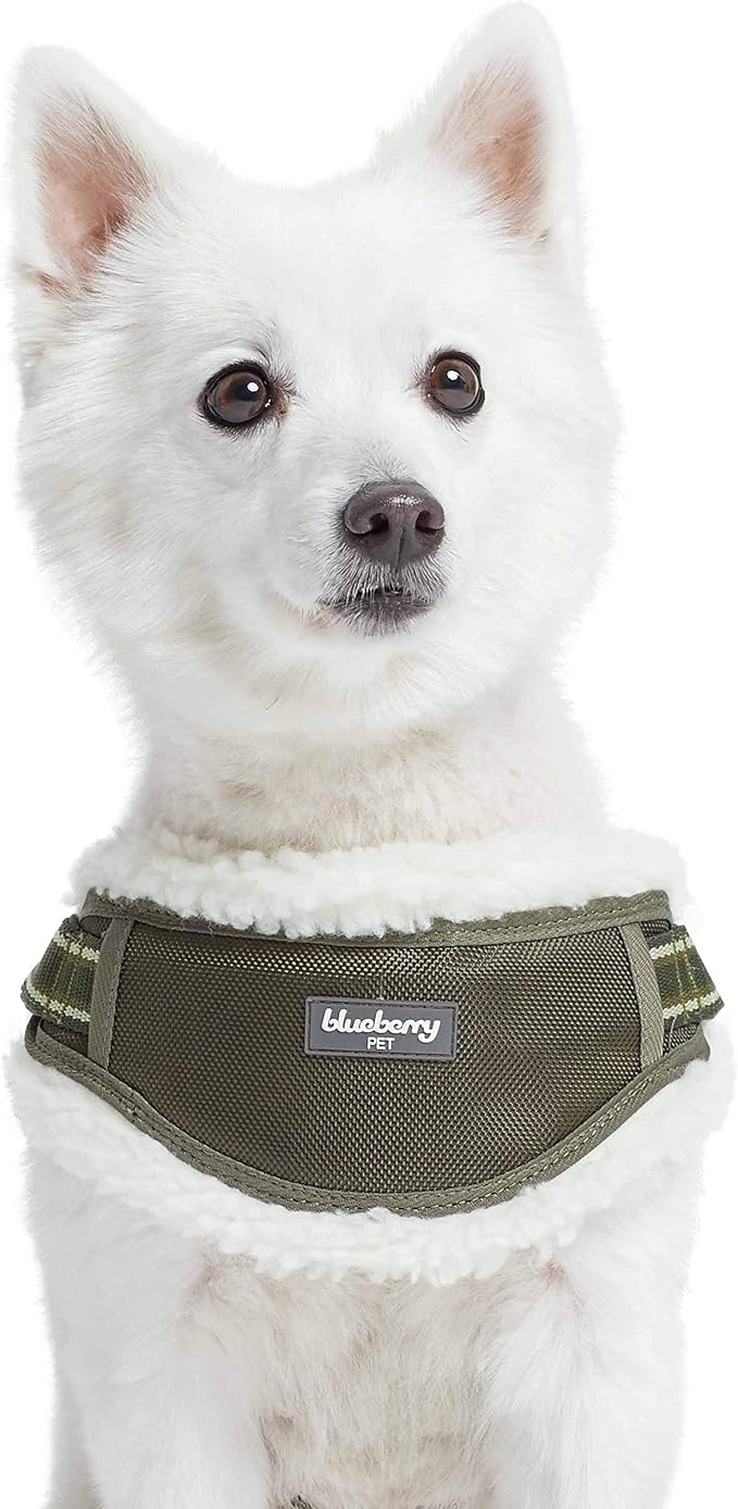 Blueberry Pet Soft & Comfy Multi-Colored Stripe Fleece Padded Chest Dog Harness, Chest Girth 16.5" - 21", Olive Green, Small, Adjustable No Pull Training Harness for Dogs