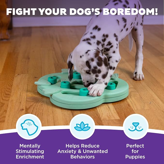 Outward Hound Nina Ottosson Puppy Hide N' Slide Dog Toy Treat Puzzle, 11.6" | Level 2 Intermediate, 14 Hidden Treat Compartments, Holds 1/4 Cup Kibble or Treats, Easy Clean, No BPA, Enrichment, Puppies