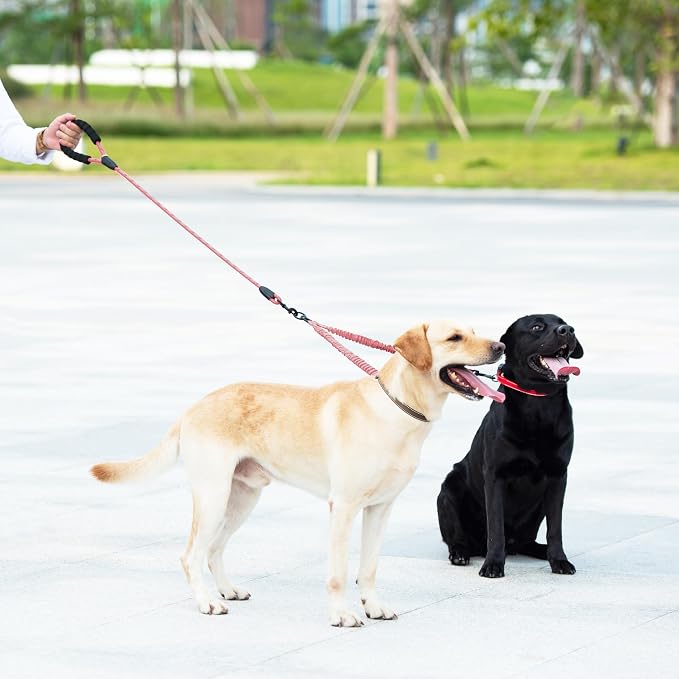 iYoShop Double Dog Leash, 360° Swivel, No Tangle, Large, Baby Pink | Dual Leash for Two Dogs, Split Leash, Shock-Absorbing Bungee, Padded Handle, Heavy-Duty Rope