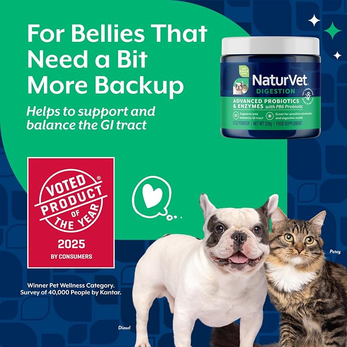 NaturVet Advanced Probiotics & Enzymes Powder for Dogs & Cats - 8oz