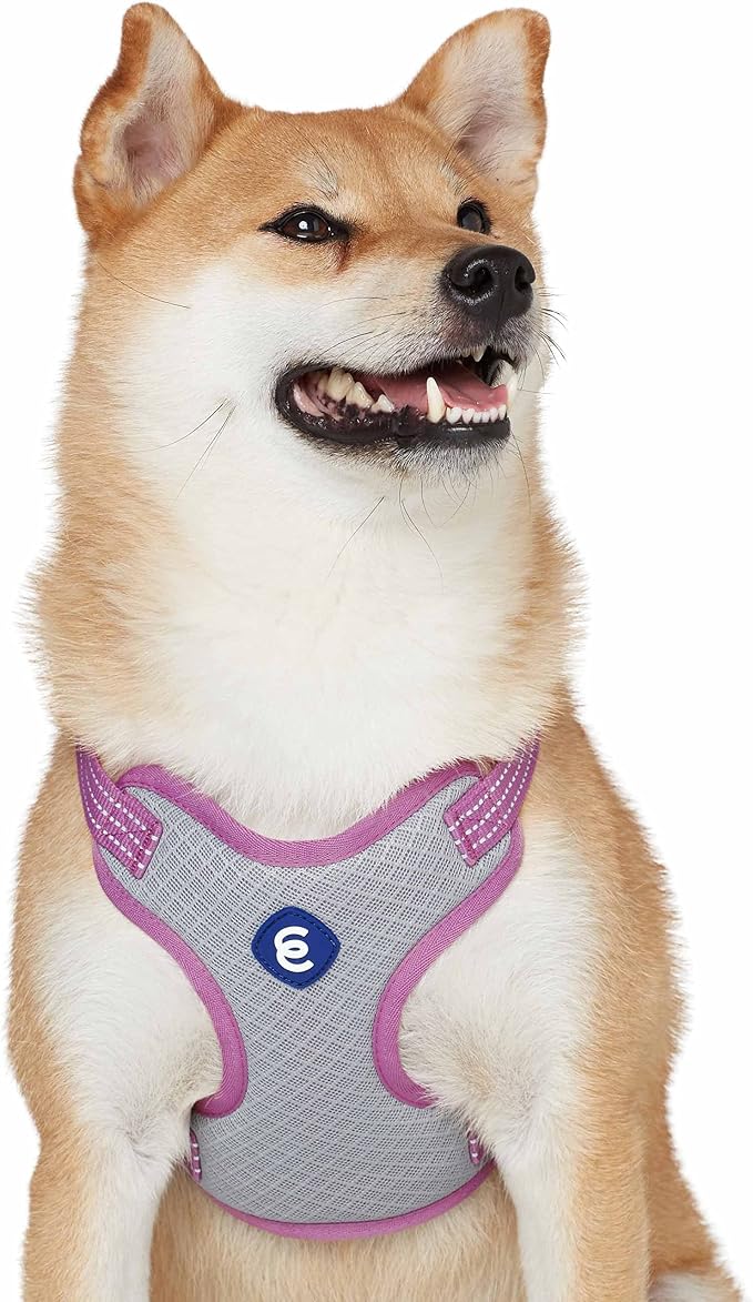 Blueberry Pet Essentials Back to Basics Reflective Dog Harness Vest, Mauve Orchid, Small, Adjustable Harnesses for Dogs