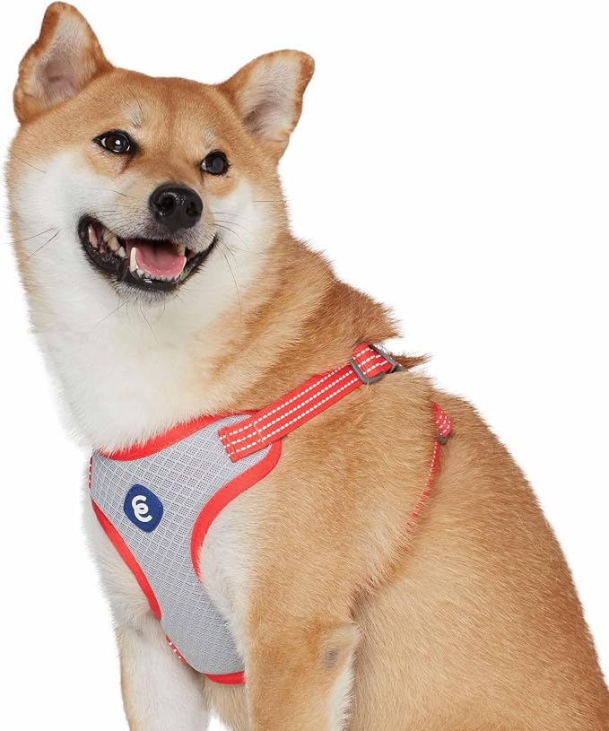 Blueberry Pet Dog Collar, Dog Harness, Dog Leash Set - Puppy Harness and Leash Set for Training - Small Size, 12-16 Inch Neck, 17.5-21 Inch Chest, Reflective, Eco-Friendly, Award Winning