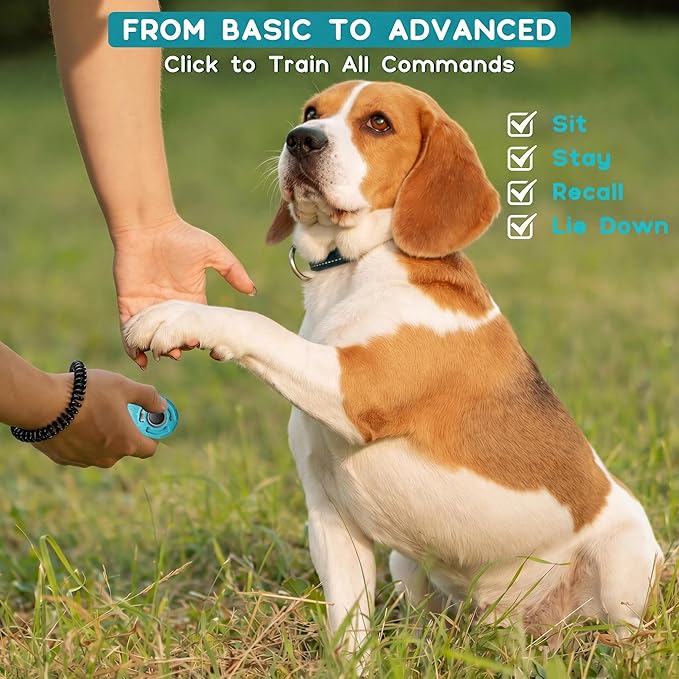 Dog Training Clicker with Wrist Strap and Keyring