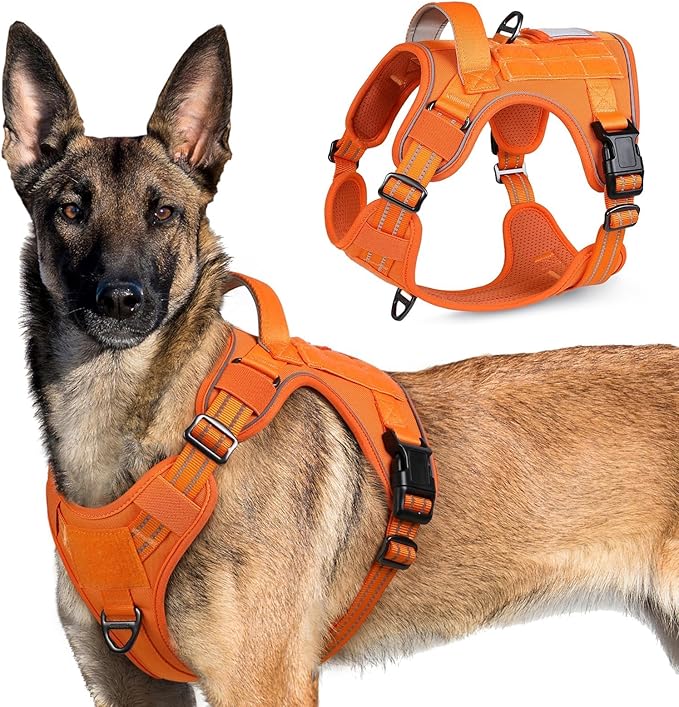rabbitgoo Tactical Dog Harness for X-Large, No Pull Military Service Vest | Molle & Handle, Heavy Duty, Adjustable, Reflective Straps, Easy Control for Training Walking, Orange, X-Large