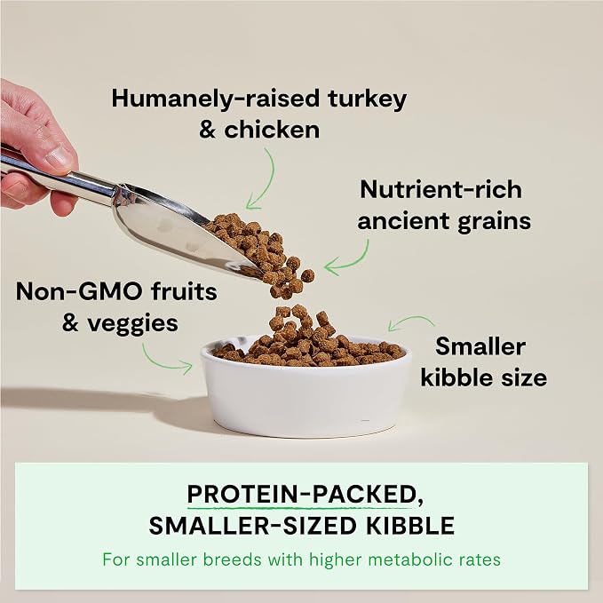 Open Farm Ancient Grains Dry Dog Food, Small Breed Kibble, 4lb Bag