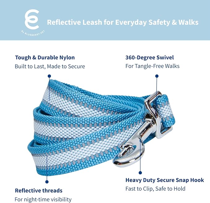 Blueberry Pet Essentials Reflective Better Basics Dog Leash, Sky Blue, 4 ft x 1", Large, Leashes for Dogs