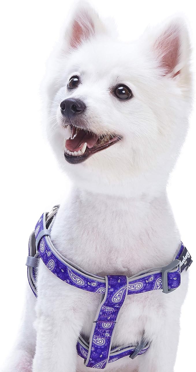 Blueberry Pet 5 Colors Soft & Comfy Step-in Paisley Flower Print Dog Harness, Chest Girth 20" - 26", Violet, Medium, Adjustable Harnesses for Dogs