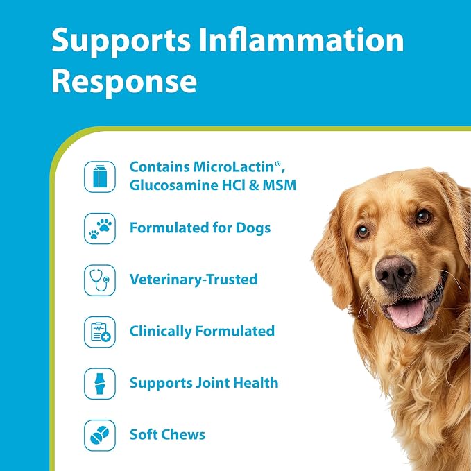 PRN Pharmacal Duralactin Canine Joint Plus Soft Chews, 90 Count