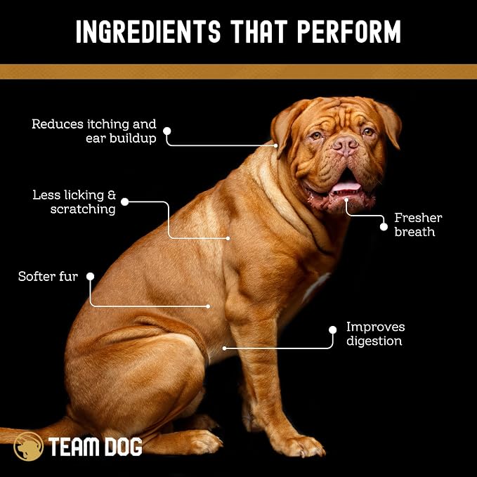 TEAM DOG Probiotic Chews for Dogs | Digestive Enzymes & Dog Probiotics for Yeast, Itchy Skin and Itchy Ears | for Allergies & Sensitive Stomachs | Promotes Digestive & Gut Health for Dogs | 120 Count
