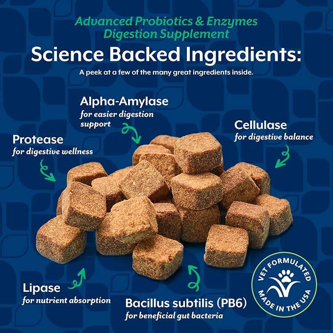 NaturVet Advanced Probiotics & Enzymes Chews for Dogs - 240ct