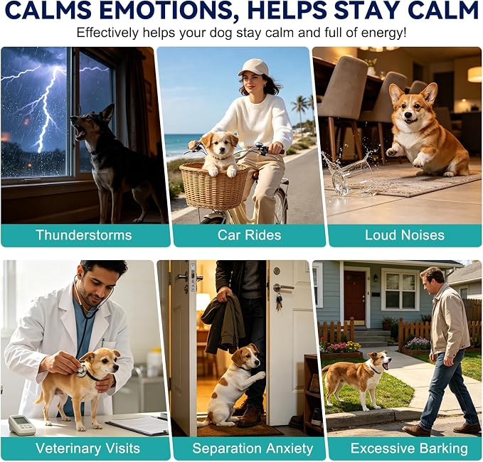 Dog Calming Chews, Chicken, 120 Chews