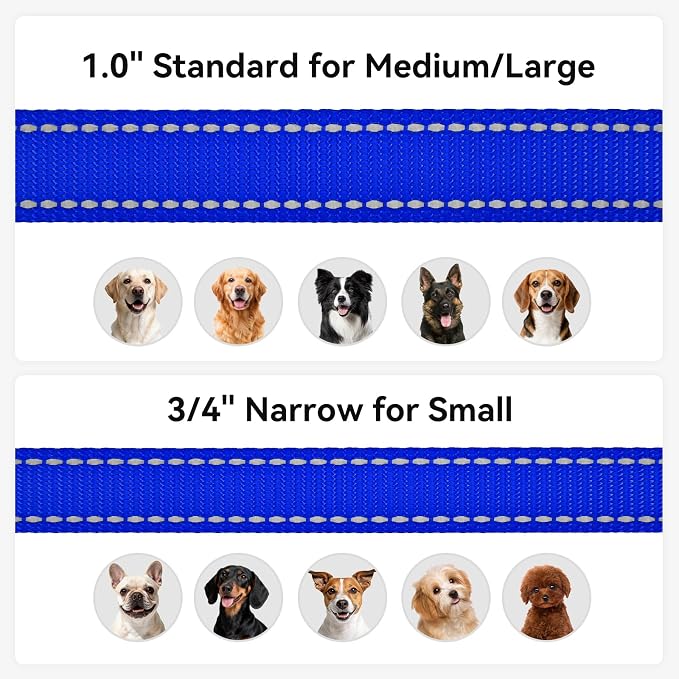Joytale Reflective Dog Leash for Medium & Large Dogs, 6 FT x 1", Navy Blue | Heavy Duty Nylon Webbing, Padded Handle for Comfort, Visible at Night, for Walking & Training