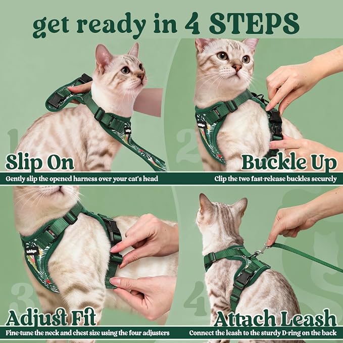 rabbitgoo Cat Harness and Leash Set, Escape Proof Vest, Rainforest Green | Soft Breathable Mesh, Easy Adjustable Fit, Snap Buckles, Sturdy Clip, Reflective Strips, for Small & Average Cats Walks, Xs