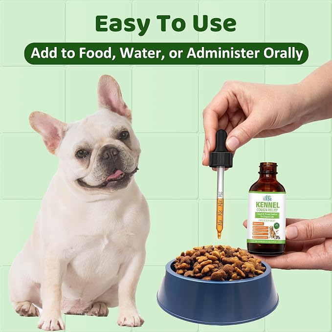 Dog Cough Relief Liquid Drops - Kennel Cough Treatment for Dogs & Cats - Better Absorption Than Soft Chews - 9 Natural Herbs with Postbiotics - 120mL/4.1 fl oz Value Pack for Respiratory Support