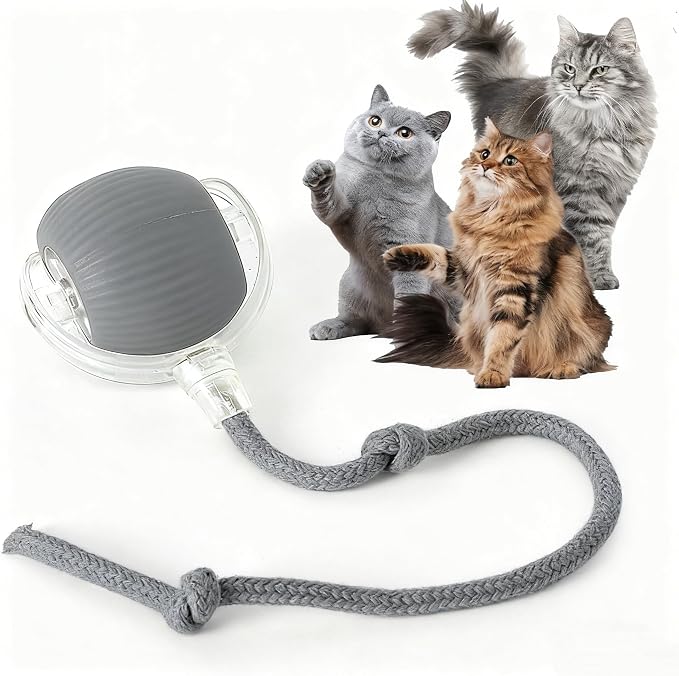 Rocfish Durable Interactive Cat Toys for Indoor Cats (Grey, 01) | Smart Automatic Cat Chase Ball Toy, Upgraded Speedy Tail Kitten Toy for Bored Indoor Adult Pets
