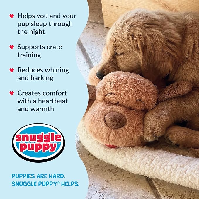 Snuggle Puppy Heartbeat Toy, Calming Comfort, Medium Breeds - Biscuit | Calming heartbeat toy, crate training comfort, heat pack, new puppy essentials, first nights, sleep, medium breeds 25-70 lbs