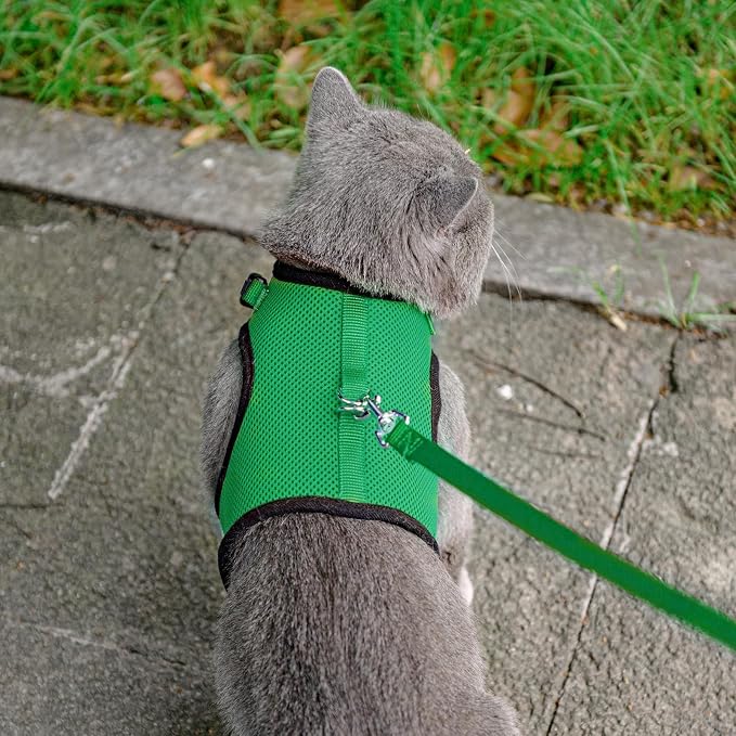 PUPTECK Soft Mesh Cat Vest Harness and Leash Set Puppy Padded Pet Harnesses Escape Proof for Cats Small Dogs Rabbits Bunny