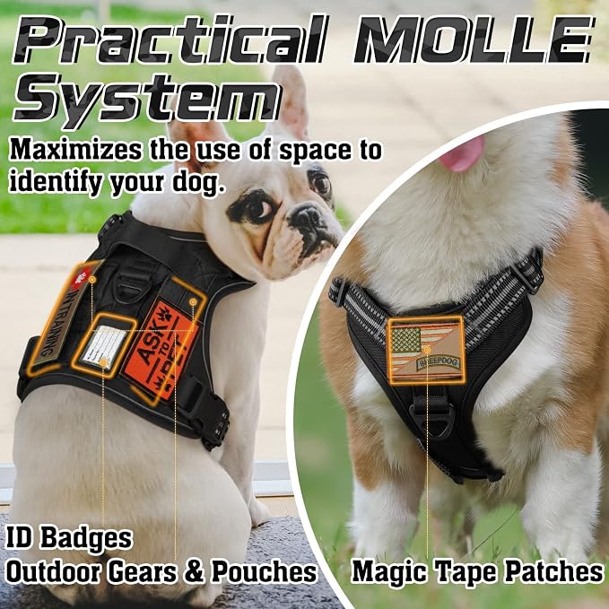 rabbitgoo Tactical Dog Harness and Leash for Large Dogs, No Pull Military Vest with Handle & Molle, Easy Control Service Dog Vest Training Walking, Adjustable Reflective Tactical Pet Harness