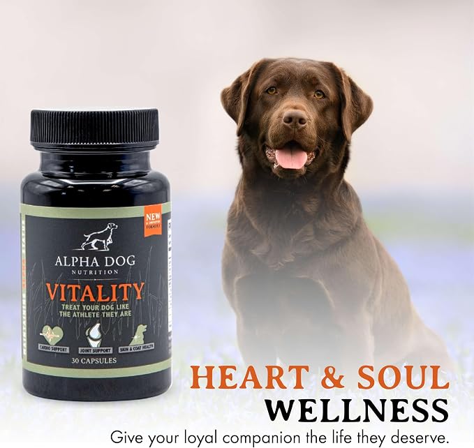 Krill Oil for Dogs - Vitality by Alpha Dog Nutrition – Reduces Dog Allergies, Itchiness, & Shedding – Promotes Healthy Skin and Coat