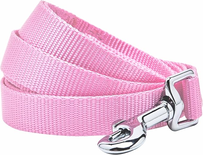 Blueberry Pet Essentials Fuchsia Pink Dog Leash for Large - 4' * 1" Dogs | Heavy Duty Nylon Lead | Lightweight Puppy & Cat Leash for Walking & Training