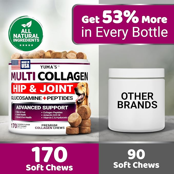 Advanced Collagen for Dogs - 170 Chews - Hip and Joint Supplement Peptides