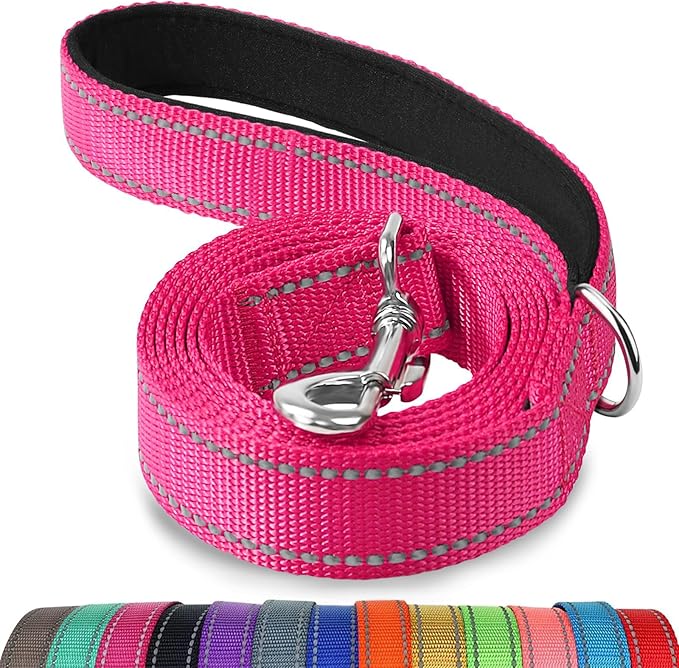 Joytale Reflective Dog Leash for Medium & Large Dogs, 6 FT x 1", Hotpink | Heavy Duty Nylon Webbing, Padded Handle for Comfort, Visible at Night, for Walking & Training