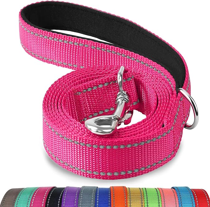 Joytale Reflective Dog Leash for Small Dogs, 6 FT x 3/4", Hotpink | Heavy Duty Nylon Webbing, Padded Handle for Comfort, Visible at Night, for Walking & Training