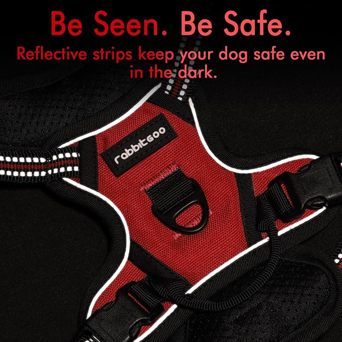rabbitgoo Dog Harness, No Pull for Small Dogs with 2 Leash Clips, Pet Vest | No Choke, Adjustable, Breathable Padded, 2 Lead Rings, Reflective, Easy Control for Walking Training, XS, Red