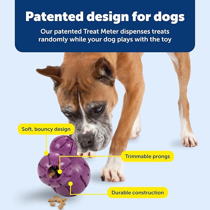 PetSafe Busy Buddy Barnacle Treat Dispensing Dog Toy, Large | 3 Treat Meter Prongs Randomly Dispense Kibble, Bone-Shaped Grooves Hold Spreadable Treats Like Peanut Butter