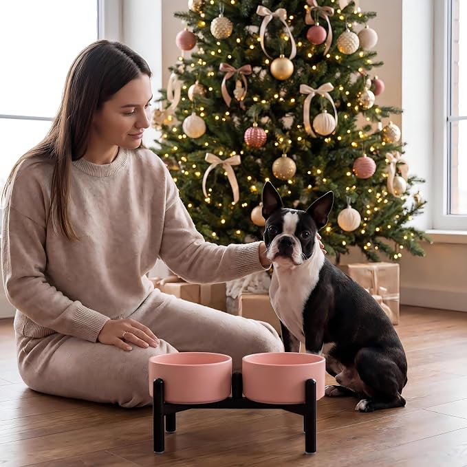 Raised Ceramic Dog Bowl Set - Elevated Double Dishes with Stainless Steel Stand - Food and Water Bowls for Small to Medium Dogs - Each Holds 3.5 Cups (29.57 fl oz) - Pink