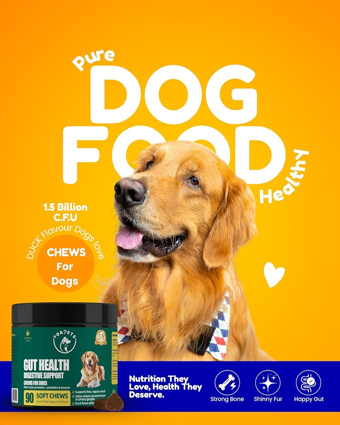 Dog Probiotic Soft Chews – Gut Health & Digestive Support with 1.5 Billion CFU Probiotics, Prebiotics & Enzymes – Helps Improve Stool Quality – All Breeds