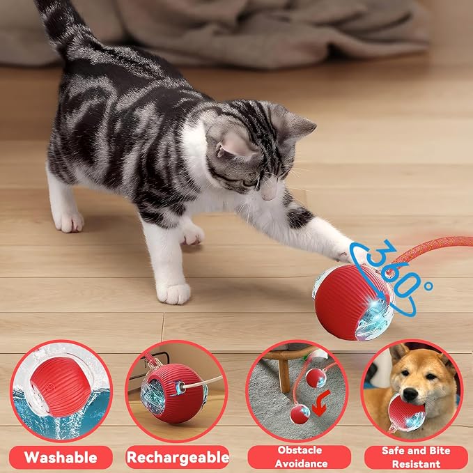 Speedy 2.0 Tail 2 Packs Interactive Cat Toys for Indoor Cats, Automatic Cat Toy with Elastic Mesh Tail, Electric Rolling Ball on Carpet, Chirping and Motion Activate Cat