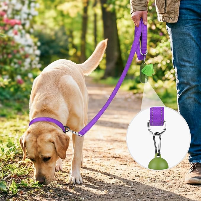 Joytale Reflective Dog Leash for Small Dogs, 6 FT x 3/4", Purple | Heavy Duty Nylon Webbing, Padded Handle for Comfort, Visible at Night, for Walking & Training
