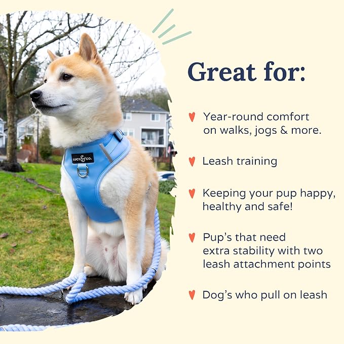 Lucy & Co. The Denim No-Pull Dog Harness - Size X-Small - Vest to Stop Pulling & Walk Easy - Comfortable Leash Training Product w/Adjustable Chest & Neck Straps