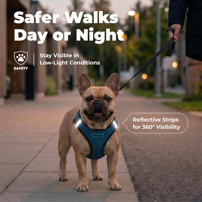 Voyager Step-in Air Dog Vest Harness - Blue/Black Trim, Large | 18- 20.5" in Chest, Reflective Bands, All Weather Breathable Air Mesh, Cats Compatible, Lightweight, Fast Drying