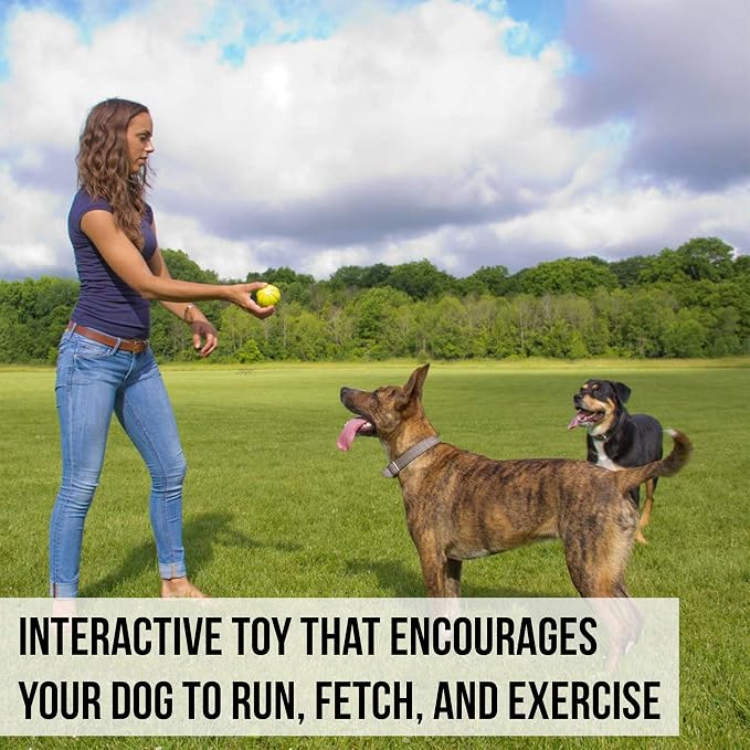 Hyper Pet Fetching Dog Toys - Throwing Ball Dog Toy Made with EVA Foam - Lightweight & Floats on Water,Green