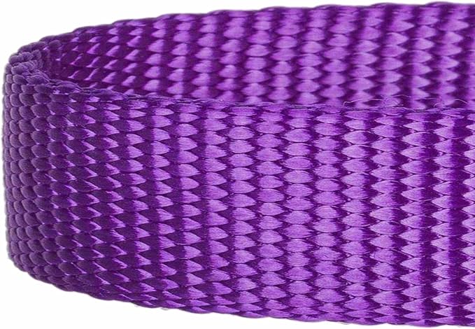 Blueberry Pet Essentials Matching Dog Collar and Double Handle Leash Set in Dark Orchid, Adjustable Classic Solid Color Nylon Collar with 5 ft Leash for X-Small Dogs