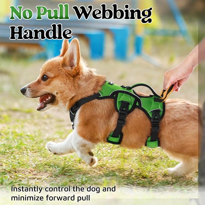 rabbitgoo Escape Proof Dog Harness for Small, No Pull with Lift Handle | No Escape, Full Soft Padded, Reflective Adjustable Vest, Leash Clip for Walking Hiking Training, Green, Small