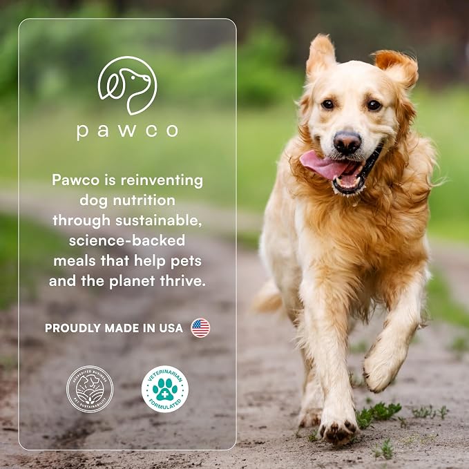 PawCo Magic Bar Healthy Functional Dog Treat – Soft, High-Protein Peanut Butter Bars with Pumpkin & Chicory Root, Supports Energy, Digestion & Overall Wellness – Pack of 8 (Daily Blend)