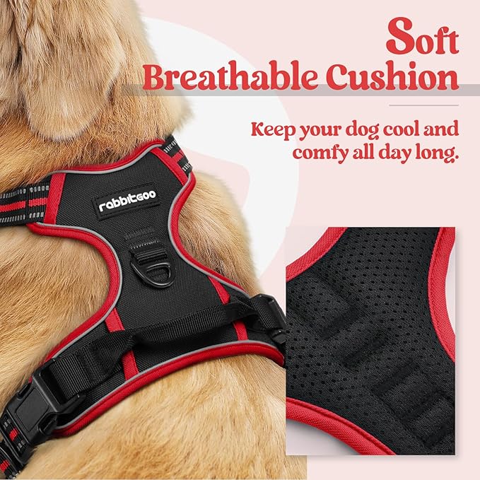 rabbitgoo Dog Harness, No Pull for Small Dogs with 2 Leash Clips, Pet Vest | No Choke with Handle, Adjustable Soft Padded, Reflective, Easy Control for Walking, Black & Red, Small